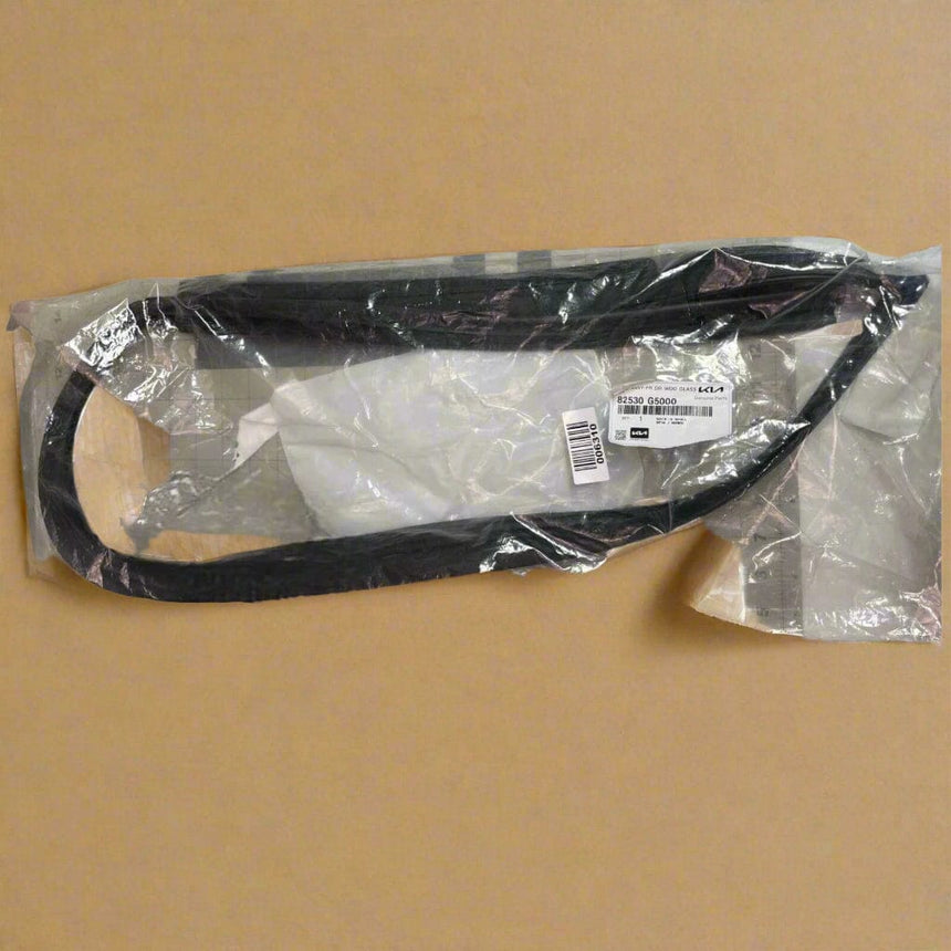 2017-2022 Kia Niro Front Driver Door Window Seal Run Channel OEM