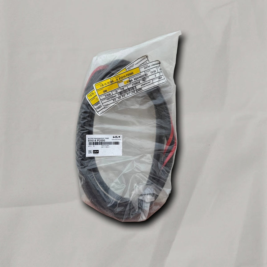 2021-2023 Kia Sorento Roof Panoramic Sunroof Seal OEM