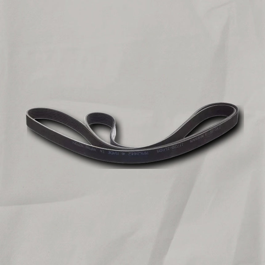2020-2024 Nissan Armada 5.6L V8 Serpentine Belt OEM
