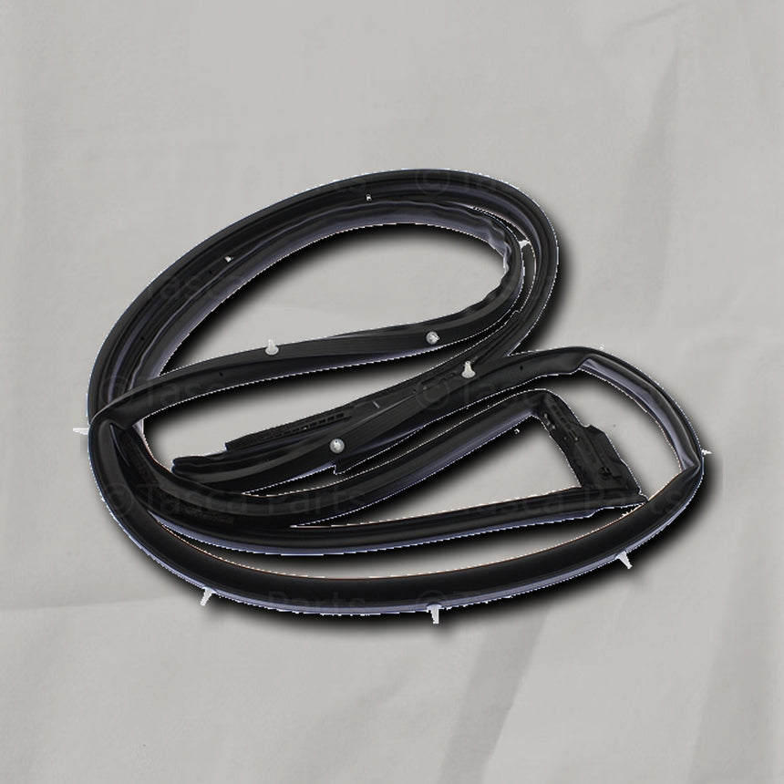 2019-2025 Nissan Altima Passenger Side Front Door Seal OEM