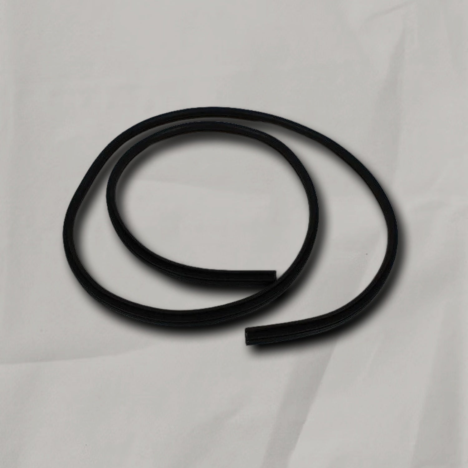 09-24 Ram 1500 2500 3500 Regular Cab Door Opening Seal OEM
