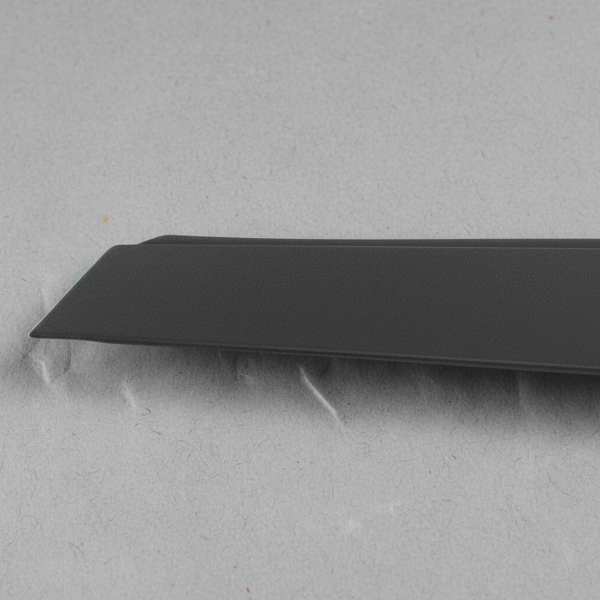 2013-2018 Toyota Rav4 Passenger Side Front Of The Back Door Trim Molding Door Applique OEM