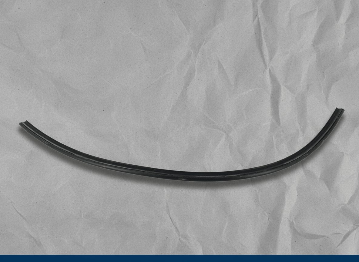 68241488AA 2014-2025 Ram ProMaster Front Door Body Seal Strip Genuine OEM