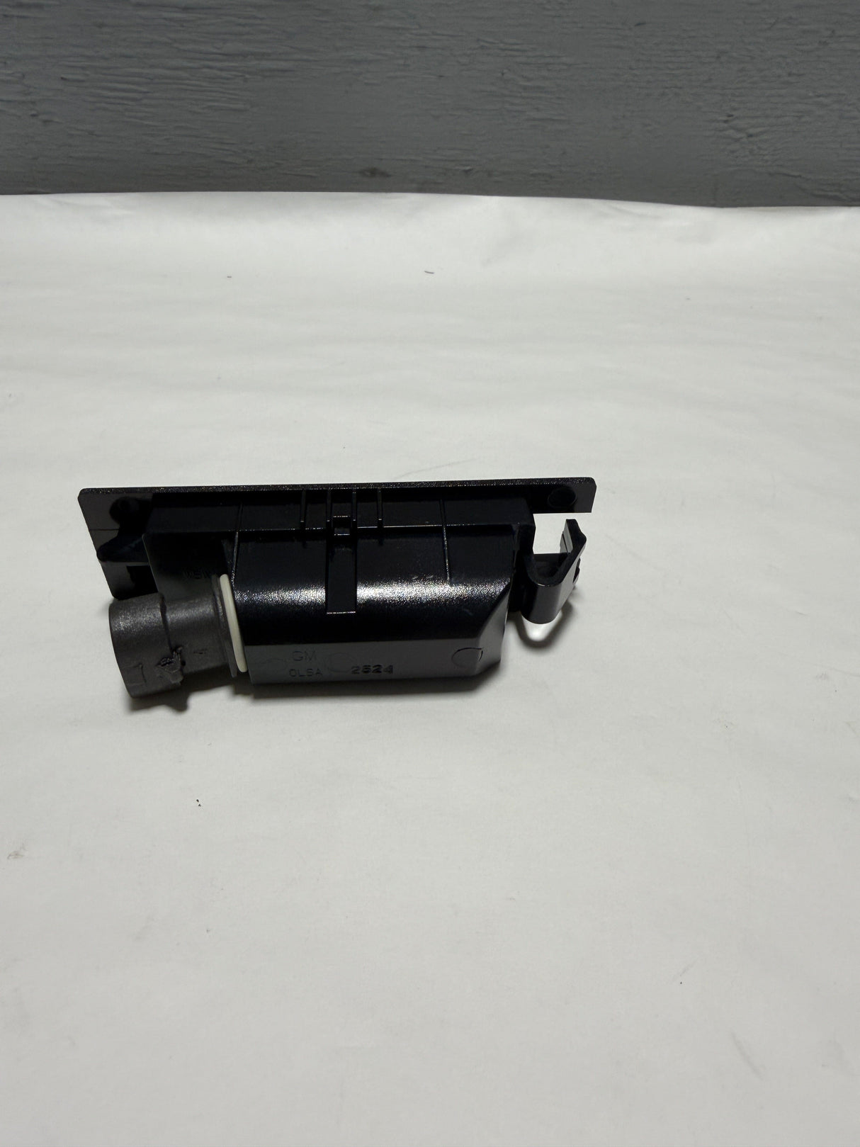 13251936 2016-2024 Chevrolet Camaro (1) License Plate Lamp Light Genuine OEM