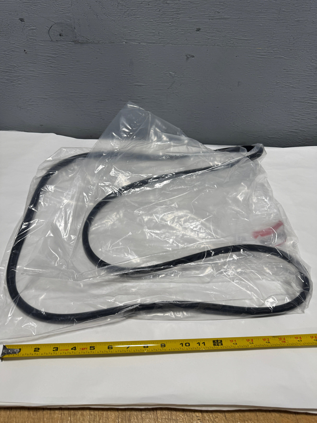 70205-T2A-A01 2016-2025 Honda Civic Sunroof Glass Weatherstrip Seal OEM