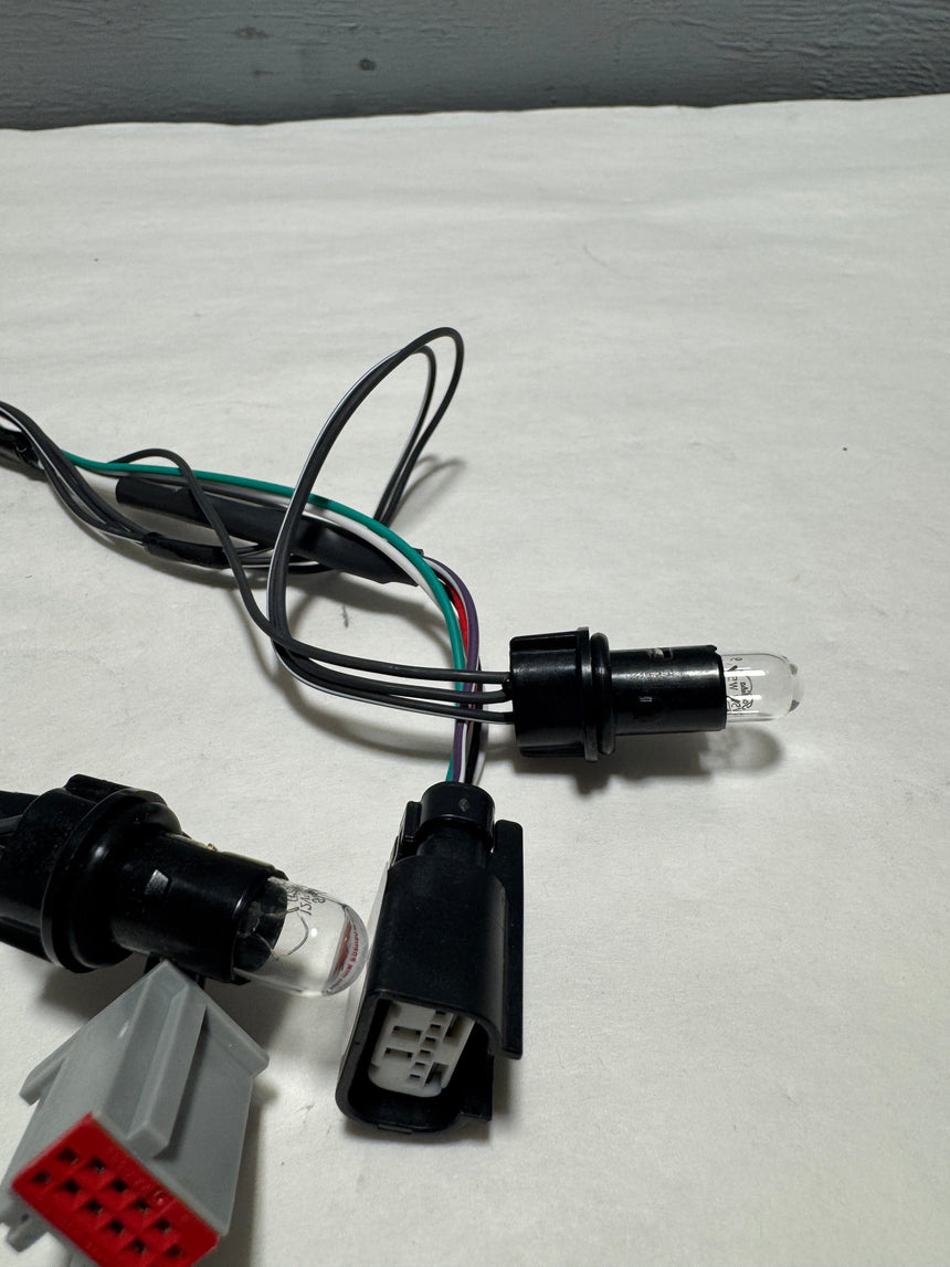 2017-2019 Ford Escape Rear License Plate Light Lamp Socket Wiring Harness OEM
