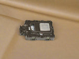 2017-2025 Pacifica or Voyager (1) Roof Courtesy Lamp OEM