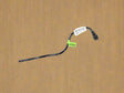 2018-2024 Jeep Wrangler 17 Gallon Fuel Tank Recirculation LineTube OEM