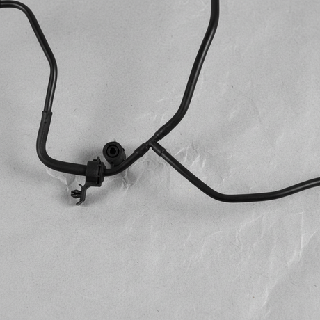 Image 1 — Middle Crop