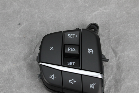 Ford Maverick cruise control switch top section macro detail