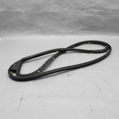 2016-2019 Nissan Sentra Front Passenger Door Weatherstrip OEM