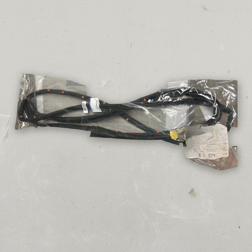 2019-2025 Ram 1500 Rear Driver Side Door Weatherstrip OEM – Middle Detail