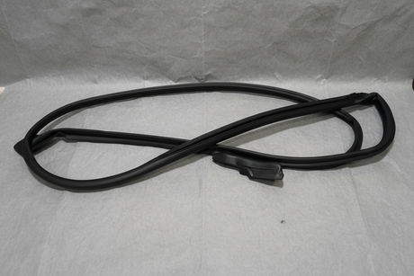 2020-2026 Chrysler Pacifica Voyager Driver Front Door Weather Strip OEM