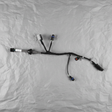 Genuine GM OEM Rear License Plate Lamp Wiring Harness - Full View 1