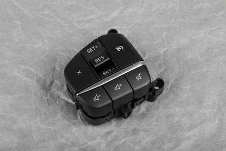 Ford Maverick cruise control switch center section macro detail alternate