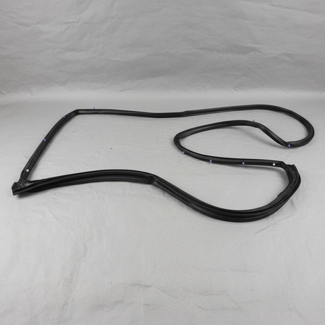 2015-19 Nissan Versa Genuine OEM Passenger Side Rear Door Mounted Weatherstrip