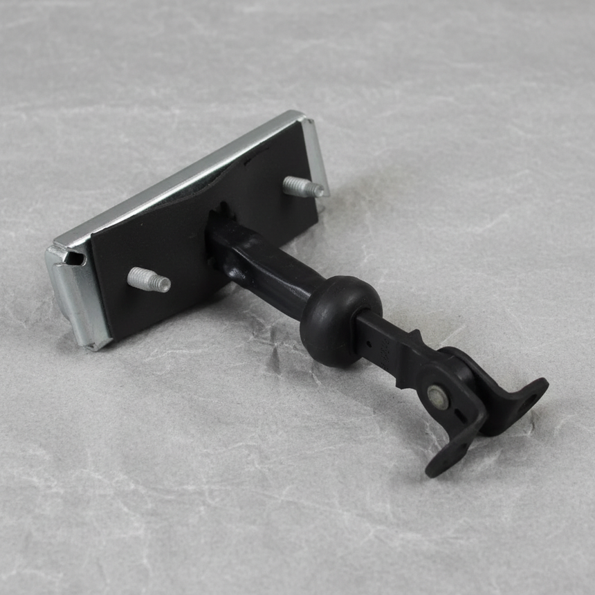 Ford Door Check Arm Full View 2