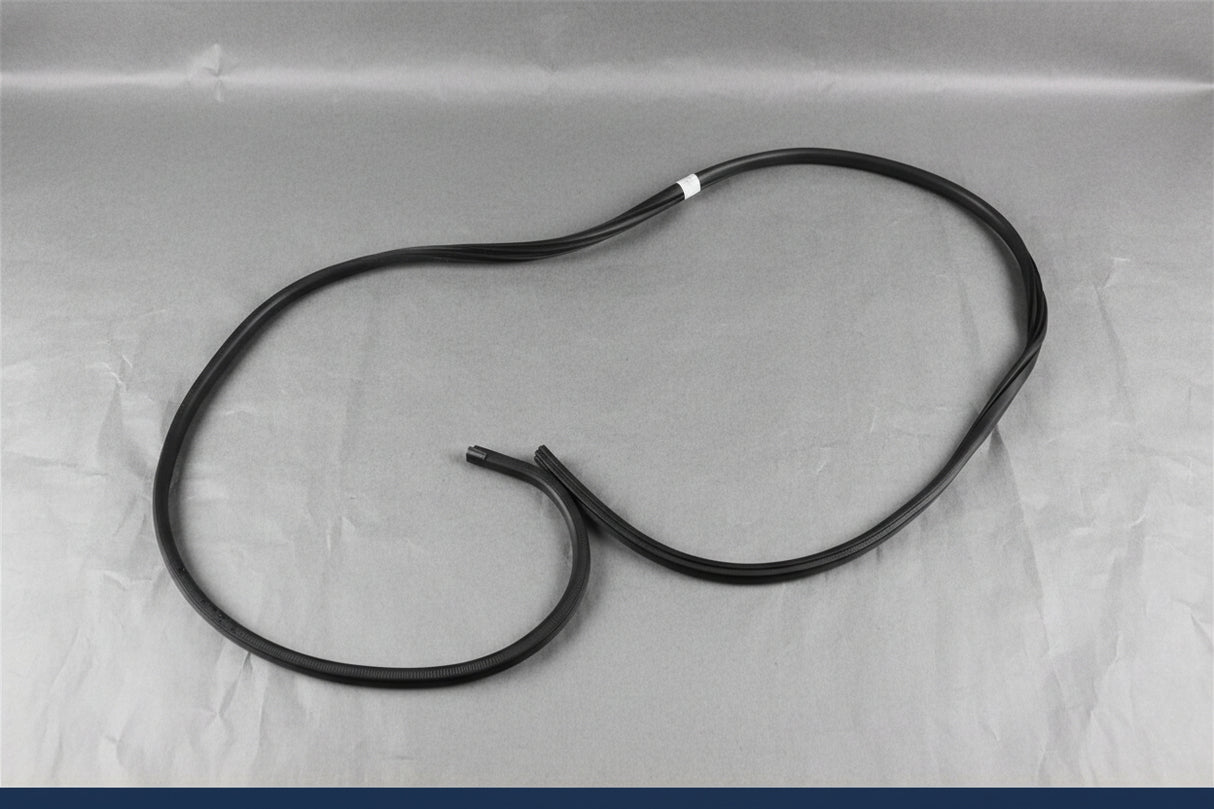 v1|157513862600|0 NEW Ford Front RH Body Mounted Weatherstrip HC3Z1820708A F250 F350 Ext Cab 17-22