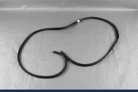 v1|157513862600|0 NEW Ford Front RH Body Mounted Weatherstrip HC3Z1820708A F250 F350 Ext Cab 17-22