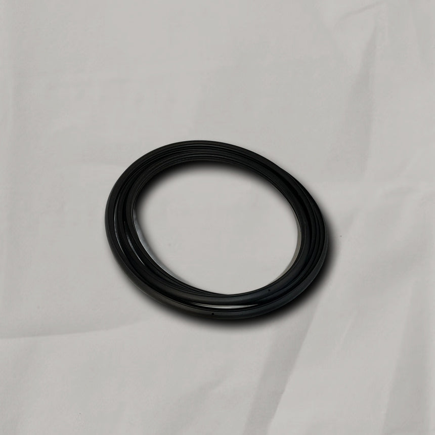2019-2025 Chevy Silverado GMC Sierra Sunroof Window Seal OEM
