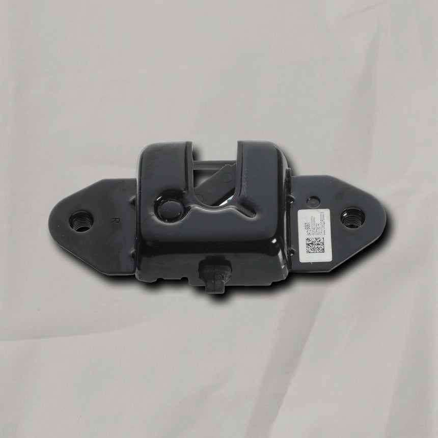 2019-2025 Chevrolet GMC Silverado Sierra 1500 Passenger Side End Gate Latch OEM