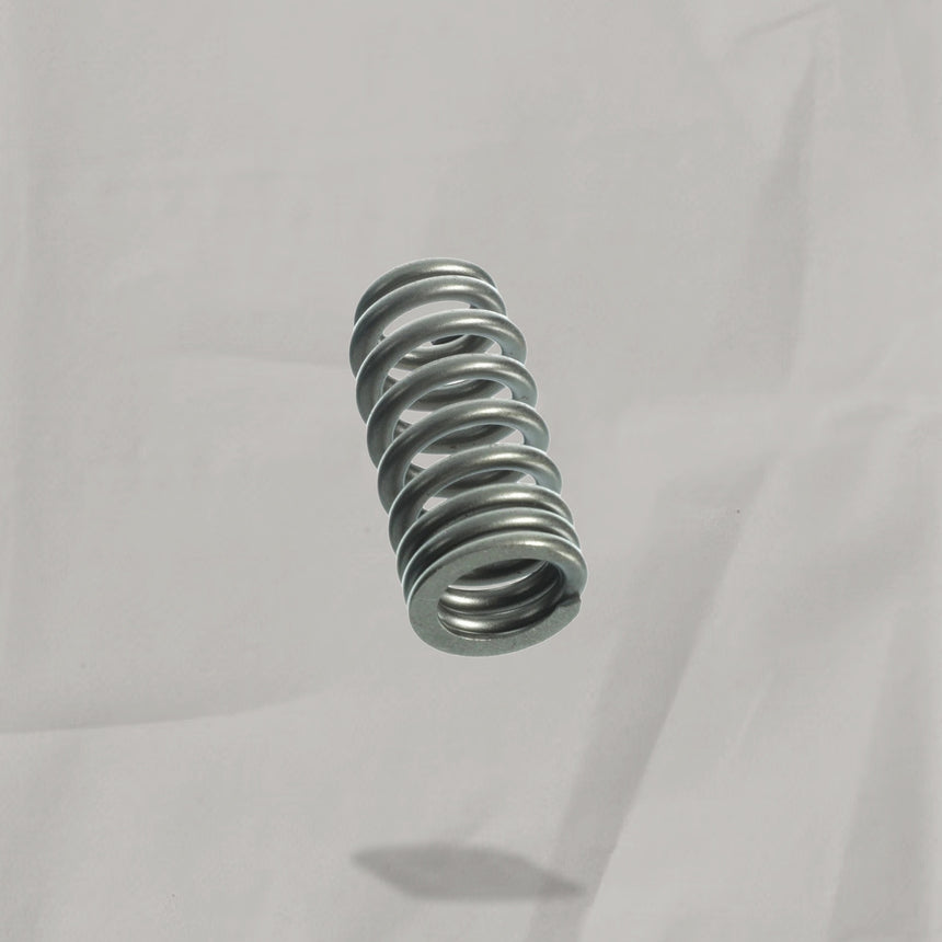 2018-2025 Ford Mustang F-150 Engine Valve Spring 5.0L V8 OEM