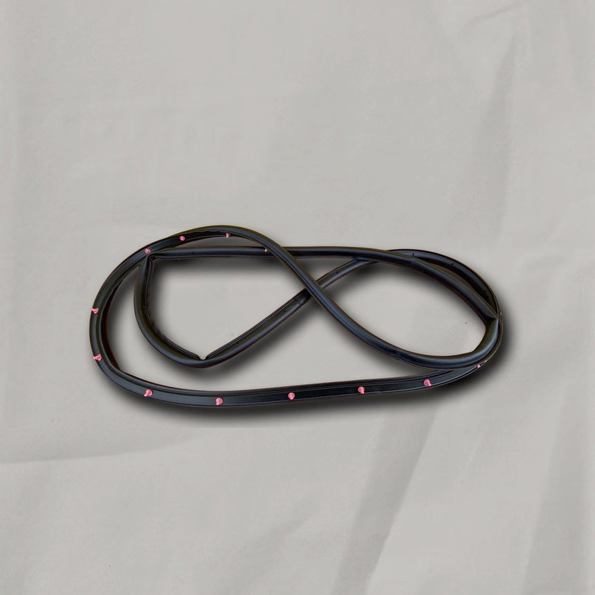 2020-2025 Ford Escape Driver Side Front Door Weather Strip OEM