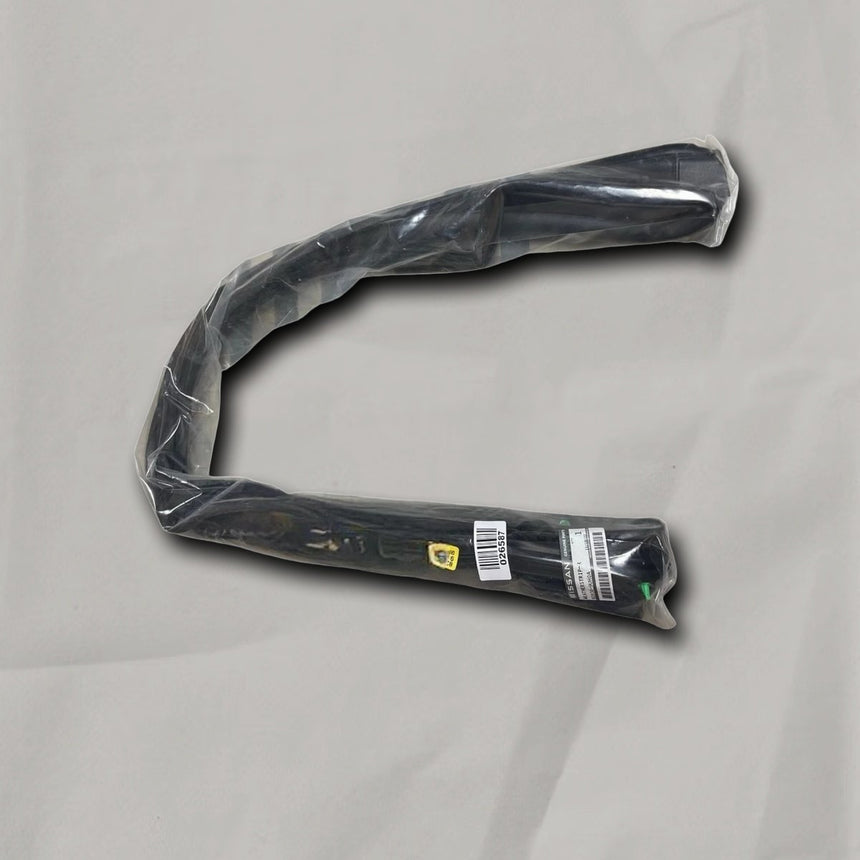 2015-2024 Nissan Murano Passenger Side Rear Door Seal OEM