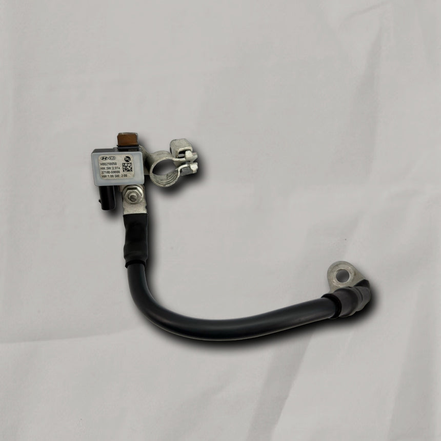 2019-2022 Kia Sorento Telluride Positive Battery Cable OEM