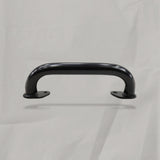 2015-2026 Ford Transit 150 250 350 Passenger Rear Interior Grab Bar OEM