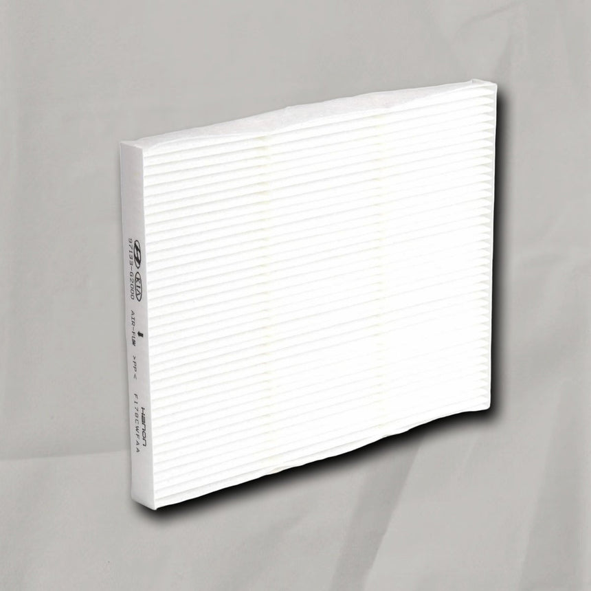 2022-2023 Hyundai Ioniq 5 Kia Niro Air Filter w/ EV OEM Cabin