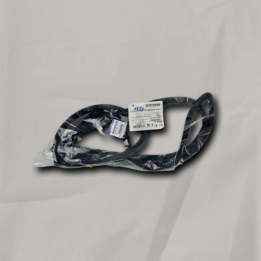2011-2023 Dodge Charger Passenger Side Front Door Weatherstrip OEM