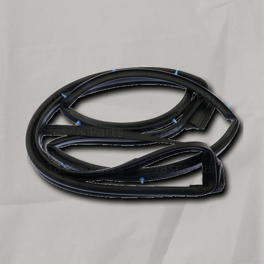 2019-2025 Nissan Altima Passenger Side Rear Door Weatherstrip OEM