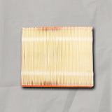 2004-2021 Nissan Titan Armada Frontier Xterra 4.0L 5.6L Air Filter OEM